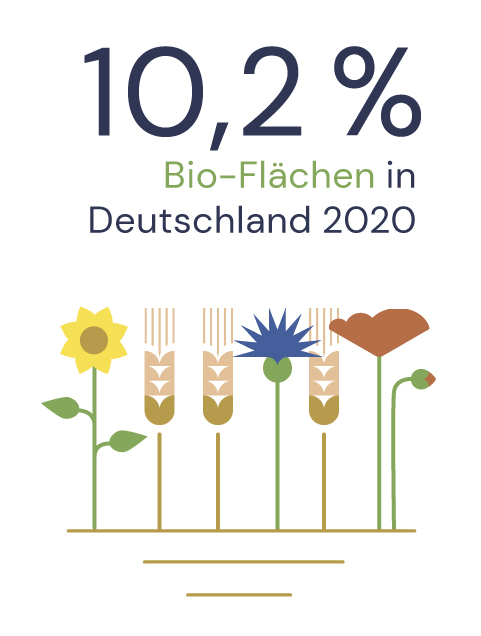 Anteil Bio-Fläche in Deutschland 2020 (Quelle: BÖLW)